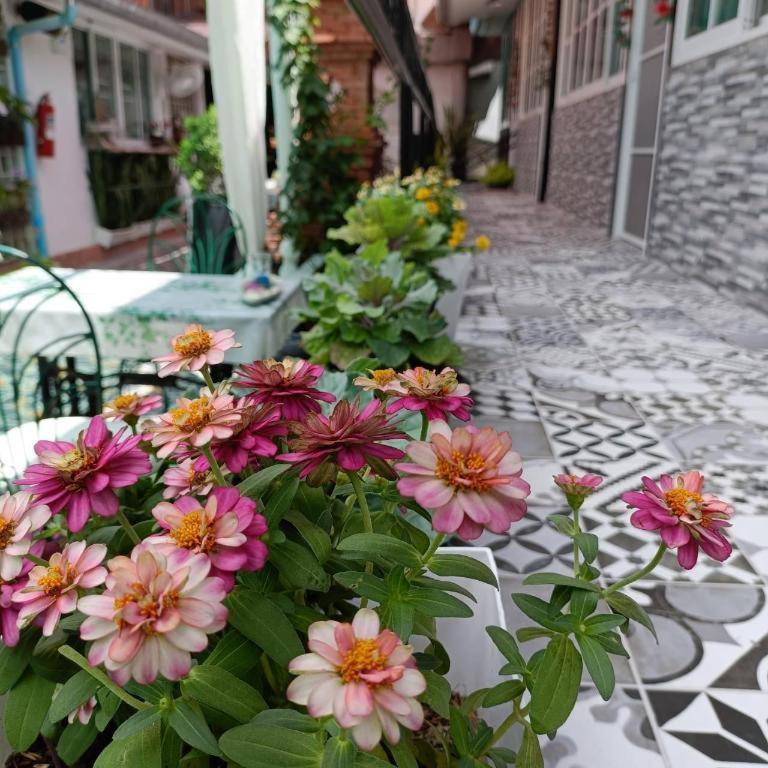 Palm Sweet Hotel Πράτσουατ Κίρι Χαν Εξωτερικό φωτογραφία