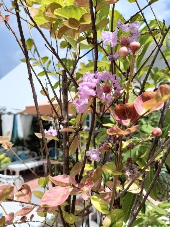 Palm Sweet Hotel Πράτσουατ Κίρι Χαν Εξωτερικό φωτογραφία