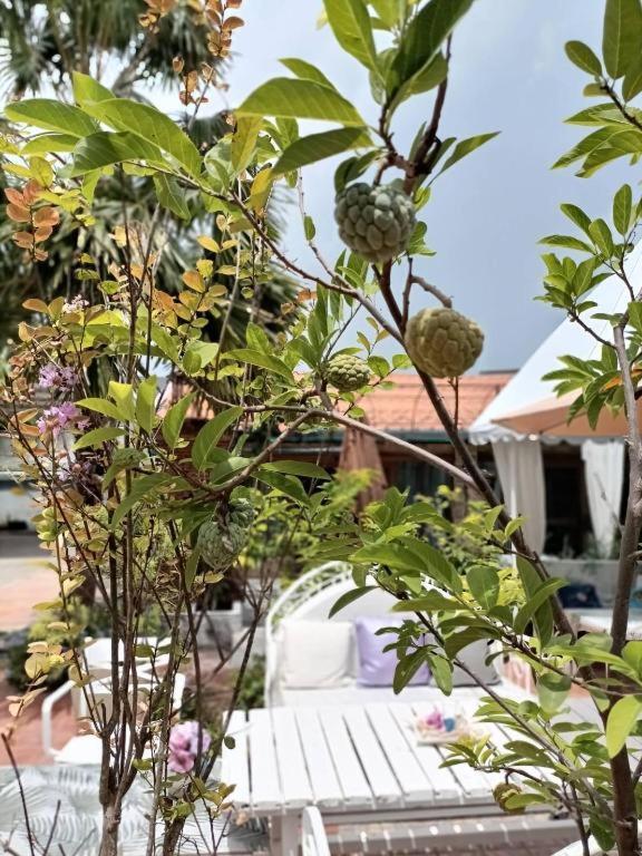 Palm Sweet Hotel Πράτσουατ Κίρι Χαν Εξωτερικό φωτογραφία